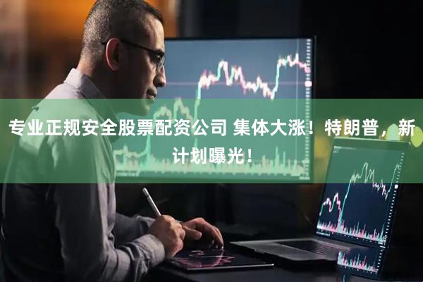 专业正规安全股票配资公司 集体大涨！特朗普，新计划曝光！